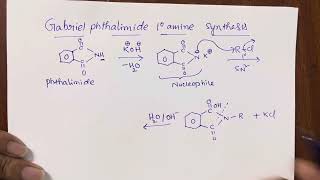 Gabriel phthalimide synthesis by Keshav sir [upl. by Treb]