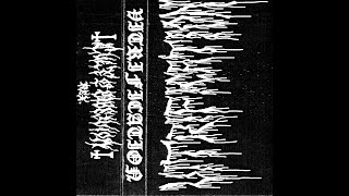 Vitrification  Demo 2024 [upl. by Laurena]