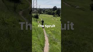 Braamfontein Spruit trail  emmarentia deltapark spruit jhb mtb mtbtrail shorts drone [upl. by Suvart]