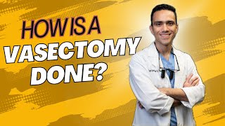 How is A Vasectomy Done [upl. by Leugimesoj]