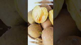 Sapodilla Seed Harvesting and Production Tips and Tricks [upl. by Tol]