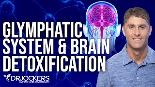 The Glymphatic System and Brain Detoxification [upl. by Atselec]