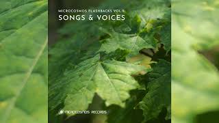 Psychill  Microcosmos Flashbacks Vol 2 Songs amp Voices Full Album [upl. by Mannes]