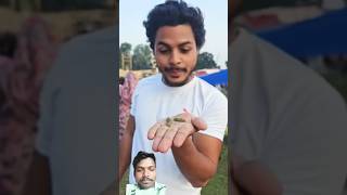 कीड़ा 🐛 बेटे को मेला 🤩 घुमाया comedy insect NasimAlamk0 [upl. by Aikemot]