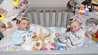 Night Routine With ALL My Reborn Dolls  Sophias Reborns [upl. by Baggs]