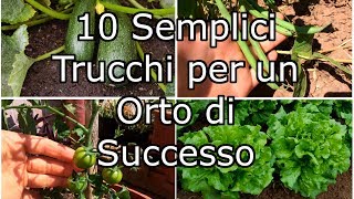 10 Semplici Trucchi per un Orto di Successo [upl. by Derrik74]