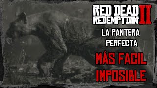 Tutorial Red Dead Redemption 2  Cazar la Pantera perfecta SIEMPRE [upl. by Nnorahs]