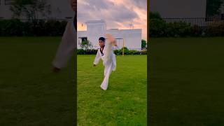 Tricking kicks martial arts shortsfeed viralreels trending [upl. by Yoc990]