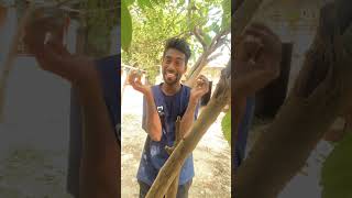 Rajkumar dehati funny comedy fun jokes explore acting trending ytshort expression 😂😂😂 [upl. by Manuel723]