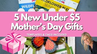 DIY MOTHERS DAY GIFTS 2024 UNDER 5  GIFTS FROM THE HEART [upl. by Delamare]