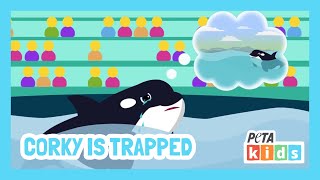 Corky The Orca is TRAPPED at SeaWorld  Kids Videos  Animal Videos  PETAKids [upl. by Hammad189]