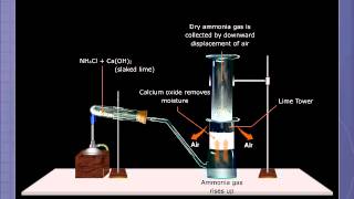 Preparation of Ammonia [upl. by Vaenfila]