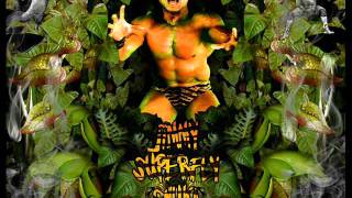 WWF Jimmy quot superfly quot Snuka theme song Superfly  Arena Effect [upl. by Astrahan]