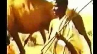 Somali HistoryTaarikh Part 2 [upl. by Lou]