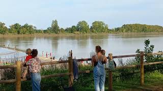 Today at the mascaret 15 September 2023 Surfing the tidal bore in the Dordogne River in France [upl. by Essej358]