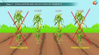 An Introduction To Plant Breeding [upl. by Vinna]