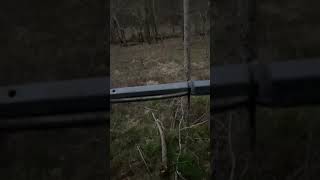 Alabama deer hunting 2021 [upl. by Concoff425]