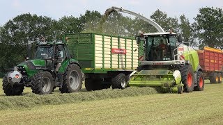 Gras hakselen met Claas Jaguar 970 amp Deutz Fahr 6190 P in Java Grün Metallic  LU Schoemaker 2019 [upl. by Assilev821]