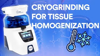 The key steps of cryogrinding with Precellys and Cryolys Evolution [upl. by Markowitz936]