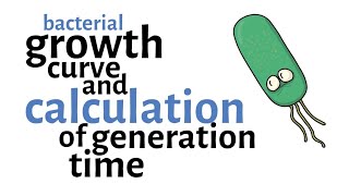 Bacterial Growth Curve amp Generation time Calculation [upl. by Saunder]