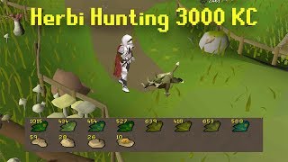 Road To All Pets  3000 Herbiboar kc  Unlocking Volcanic Mine Rewards  im a meme  Fossil Island [upl. by Franchot]