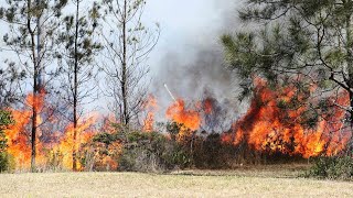 NSW bushfire emergency Locals urged to ‘stay inside’ [upl. by Anayi]