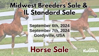 Yearling Weanling amp Bred Mare Auction  2024 Midwest Breeders Sale amp IL Standard Sale [upl. by Nica]