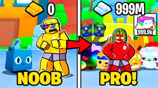 Noob To PRO In Pet Simulator 99 Roblox [upl. by Rysler]