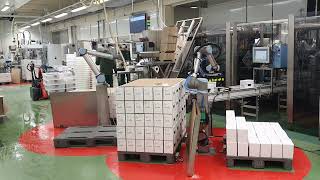 Watch three Cobot Palletizing Solutions in action [upl. by Aenad31]