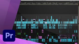 Adobe Premiere Pro CS55  INTRODUCTION [upl. by Alston]