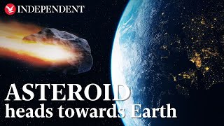 Asteroid will strike Earth later today astronomers say [upl. by Nonaihr340]