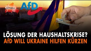 Lösung der Haushaltskrise  AfD will UkraineHilfen kürzen [upl. by Kirstin819]