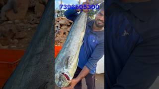 Mahi mahi fish  అభిలాష చేప 5 kgs హైదరాబాద్ కి పంపించాను  mahimahifish beachboynaidu seafood [upl. by Esemaj]