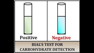 Bials test for carbohydrates detection [upl. by Wilden]