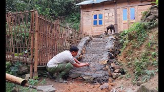 Build stone stairs raise wild boars and garden  365 days alone in the forest [upl. by Odlaniger]