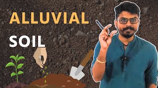 Alluvial Soil  Geography  UPSC  ClearIAS [upl. by Kavita951]