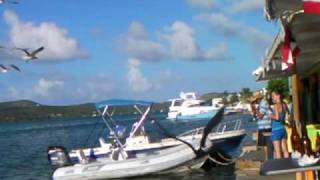 Culebra Dinghy Dock Happy Hour SV RAGAMUFFIN sailing adventure vacations Feeding the Tarpon brings the birds [upl. by Nirrol]