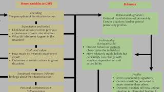 Cognitiveaffective processing systems CAPS  Brief video on personality psychology [upl. by Vaden804]