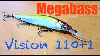 Megabass Vision 1101 Review  Underwater Footage [upl. by Fanestil693]