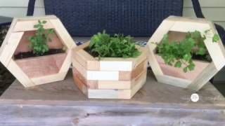 DIY Hexagon Planters [upl. by Jelks]