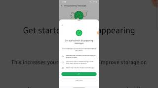 How to send disappearing messages on WhatsApp 2024 [upl. by Rhoades]