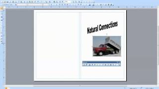 Creating a Brochure in Publisher [upl. by Eseyt448]