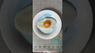 Moldable Plastic Sunny Side Up Egg 🍳 [upl. by Leia]