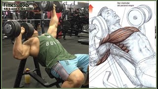 7 Chest Workout and Motivation 7 Ejercicios de Pecho [upl. by Glaser]