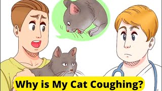 Why is your cat coughing Top 6 possible reasons [upl. by Kosel]