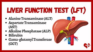 Liver Function Tests LFTs  liver function test interpretation  Animation  MultiLanguages [upl. by Ycal]