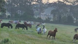 Into Big Dam  Glenworth Valley NSW Au [upl. by Noved]