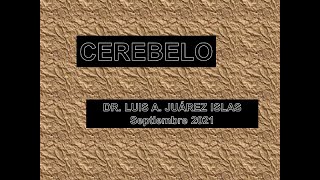 CEREBELO CLASE PRIMERA PARTE [upl. by Mihalco]