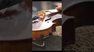 The Ultimate Guide To Stradivarius Violins Unleashing Perfection In Strings youtubeshorts shorts [upl. by Nyvek325]