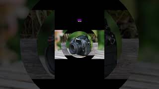 5 Best Camera For Photography 2024 [upl. by Octavie]